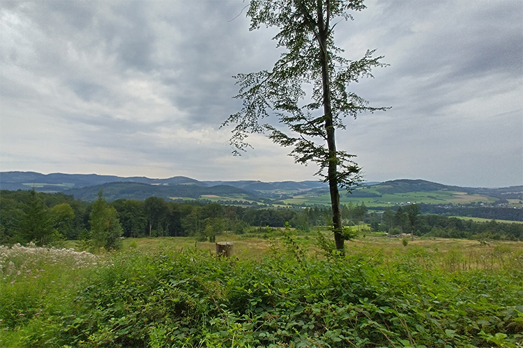 Foto auf eine weite Landschaft im Sauerland.